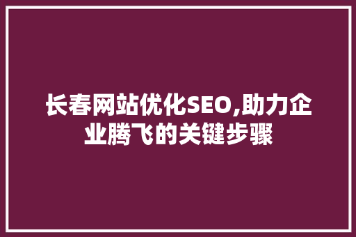 长春网站优化SEO,助力企业腾飞的关键步骤