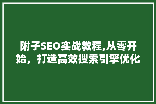 附子SEO实战教程,从零开始，打造高效搜索引擎优化步骤
