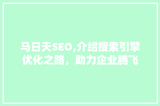 马日天SEO,介绍搜索引擎优化之路，助力企业腾飞