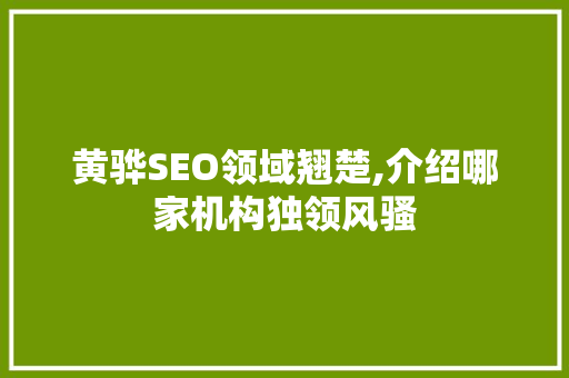黄骅SEO领域翘楚,介绍哪家机构独领风骚