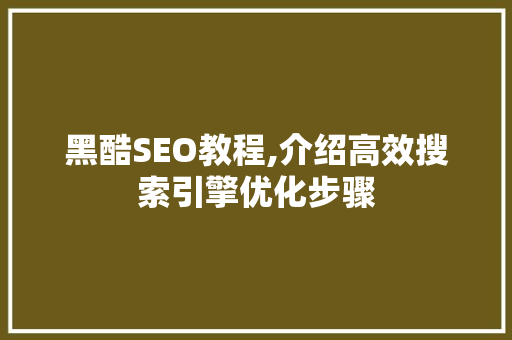 黑酷SEO教程,介绍高效搜索引擎优化步骤