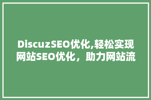 DiscuzSEO优化,轻松实现网站SEO优化，助力网站流量提升