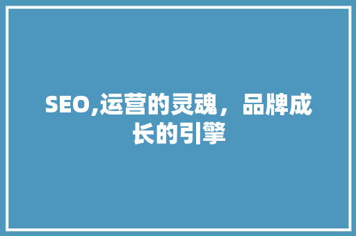 SEO,运营的灵魂，品牌成长的引擎