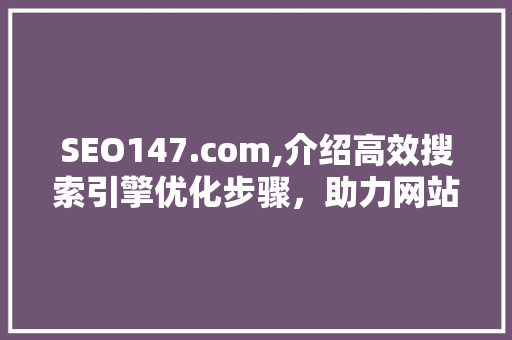 SEO147.com,介绍高效搜索引擎优化步骤，助力网站排名跃升
