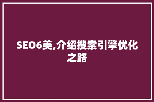 SEO6美,介绍搜索引擎优化之路