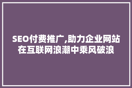 SEO付费推广,助力企业网站在互联网浪潮中乘风破浪