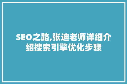 SEO之路,张迪老师详细介绍搜索引擎优化步骤