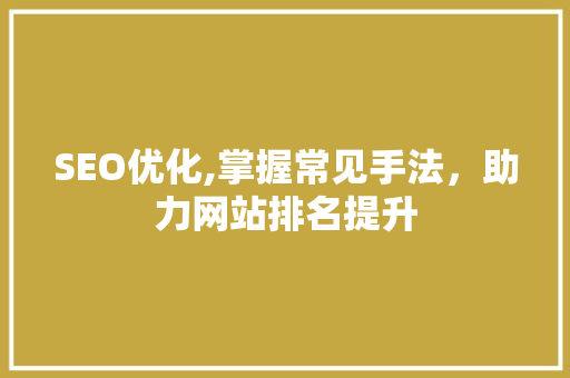 SEO优化,掌握常见手法，助力网站排名提升