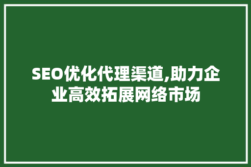 SEO优化代理渠道,助力企业高效拓展网络市场