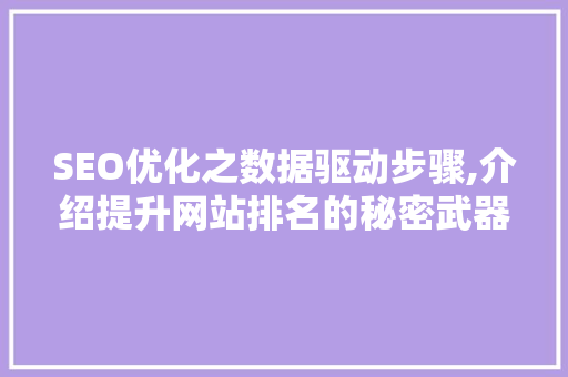 SEO优化之数据驱动步骤,介绍提升网站排名的秘密武器