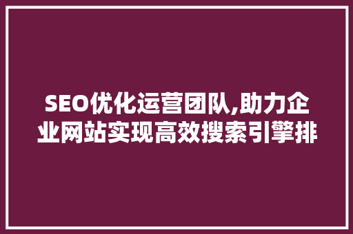 SEO优化运营团队,助力企业网站实现高效搜索引擎排名步骤