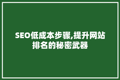 SEO低成本步骤,提升网站排名的秘密武器