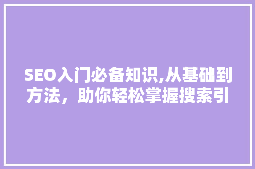 SEO入门必备知识,从基础到方法，助你轻松掌握搜索引擎优化方法