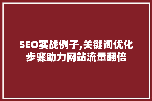 SEO实战例子,关键词优化步骤助力网站流量翻倍