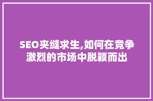 SEO夹缝求生,如何在竞争激烈的市场中脱颖而出