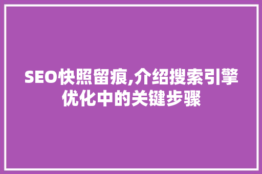 SEO快照留痕,介绍搜索引擎优化中的关键步骤