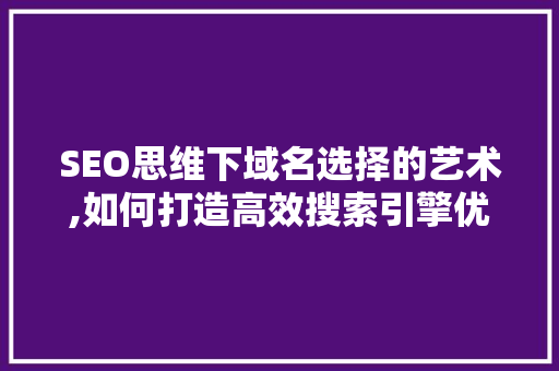 SEO思维下域名选择的艺术,如何打造高效搜索引擎优化步骤