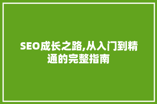 SEO成长之路,从入门到精通的完整指南
