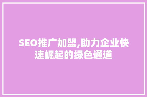 SEO推广加盟,助力企业快速崛起的绿色通道