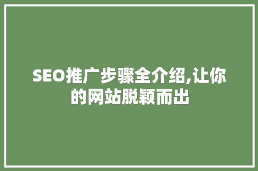 SEO推广步骤全介绍,让你的网站脱颖而出