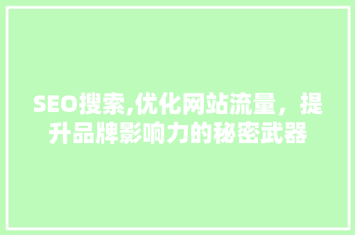 SEO搜索,优化网站流量，提升品牌影响力的秘密武器