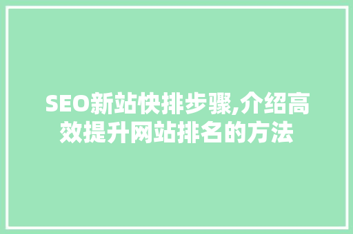 SEO新站快排步骤,介绍高效提升网站排名的方法