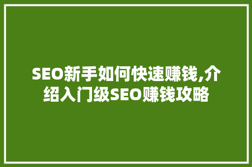SEO新手如何快速赚钱,介绍入门级SEO赚钱攻略