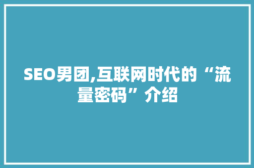 SEO男团,互联网时代的“流量密码”介绍