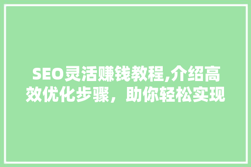 SEO灵活赚钱教程,介绍高效优化步骤，助你轻松实现财富增长