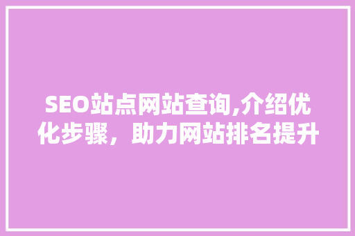 SEO站点网站查询,介绍优化步骤，助力网站排名提升