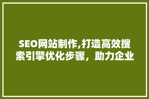 SEO网站制作,打造高效搜索引擎优化步骤，助力企业腾飞