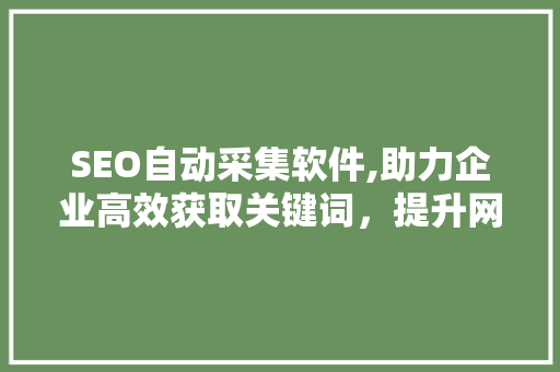 SEO自动采集软件,助力企业高效获取关键词，提升网站排名
