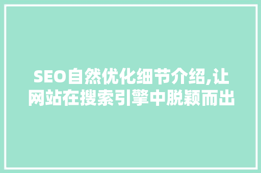 SEO自然优化细节介绍,让网站在搜索引擎中脱颖而出