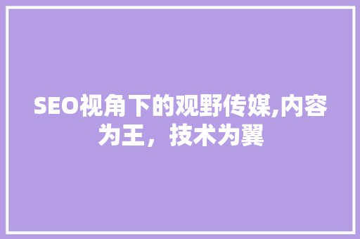SEO视角下的观野传媒,内容为王，技术为翼