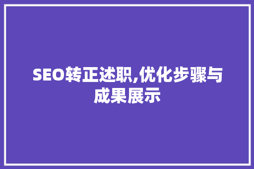 SEO转正述职,优化步骤与成果展示