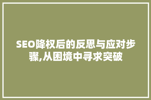SEO降权后的反思与应对步骤,从困境中寻求突破