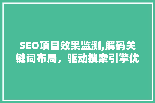 SEO项目效果监测,解码关键词布局，驱动搜索引擎优化成功之路