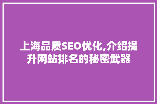 上海品质SEO优化,介绍提升网站排名的秘密武器