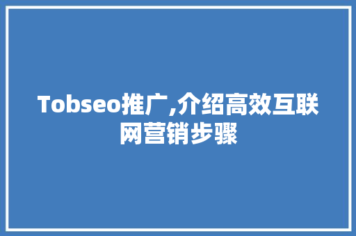 Tobseo推广,介绍高效互联网营销步骤