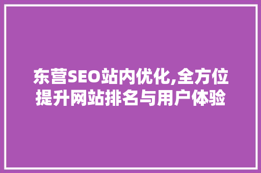 东营SEO站内优化,全方位提升网站排名与用户体验