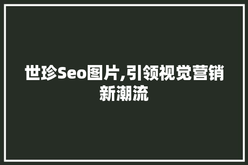 世珍Seo图片,引领视觉营销新潮流