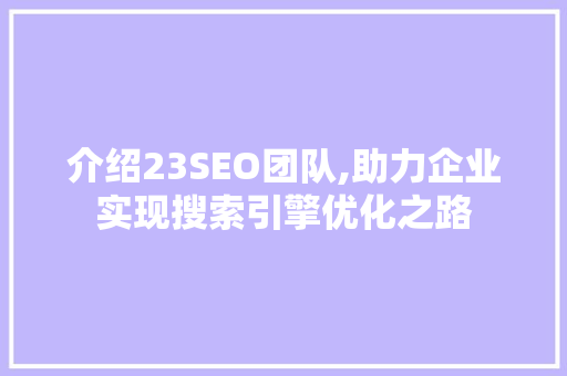 介绍23SEO团队,助力企业实现搜索引擎优化之路