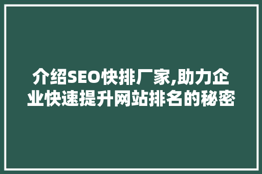 介绍SEO快排厂家,助力企业快速提升网站排名的秘密武器