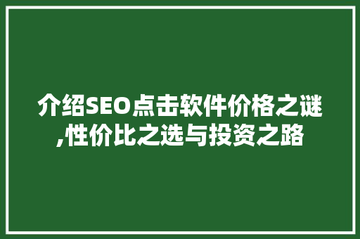介绍SEO点击软件价格之谜,性价比之选与投资之路