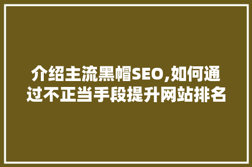 介绍主流黑帽SEO,如何通过不正当手段提升网站排名