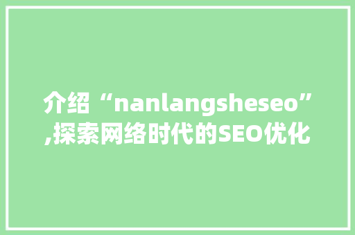 介绍“nanlangsheseo”,探索网络时代的SEO优化之路