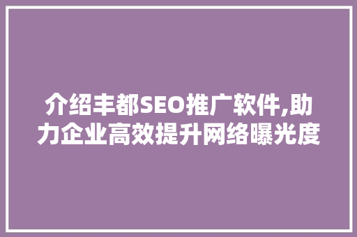 介绍丰都SEO推广软件,助力企业高效提升网络曝光度