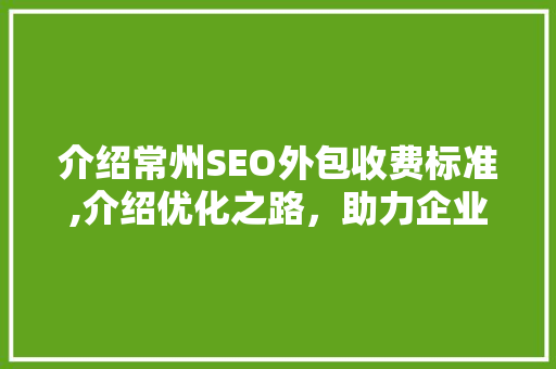 介绍常州SEO外包收费标准,介绍优化之路，助力企业腾飞