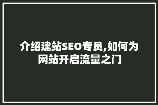 介绍建站SEO专员,如何为网站开启流量之门