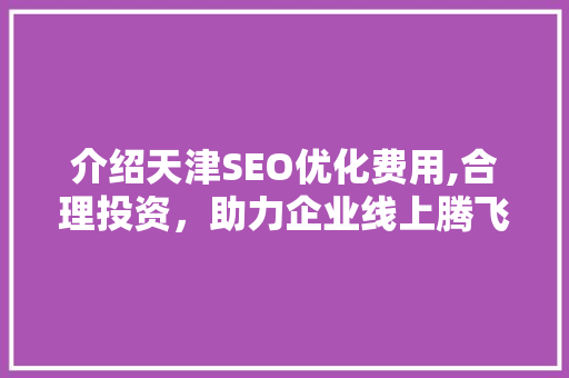 介绍天津SEO优化费用,合理投资，助力企业线上腾飞